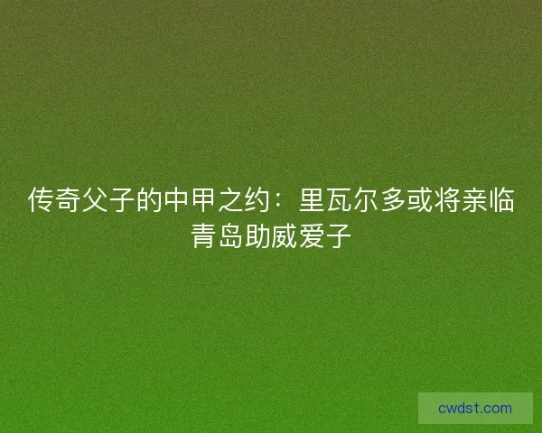 传奇父子的中甲之约：里瓦尔多或将亲临青岛助威爱子