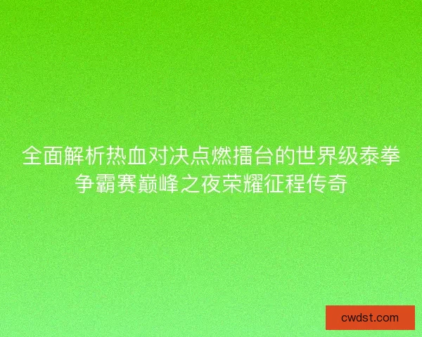 全面解析热血对决点燃擂台的世界级泰拳争霸赛巅峰之夜荣耀征程传奇 全面解析热血对决点燃擂台的世界级泰拳争霸赛巅峰之夜荣耀征程传奇